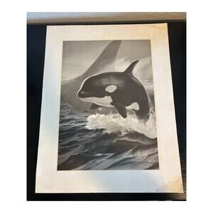 William E. Ryan WE Signed Autograph Baby Harp Seal Art Print 18" x 14"